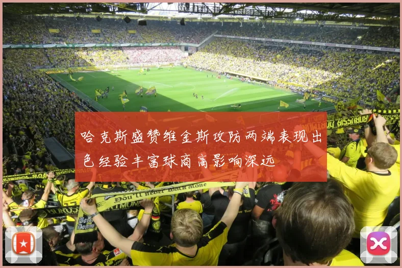 哈克斯盛赞维金斯攻防两端表现出色经验丰富球商高影响深远