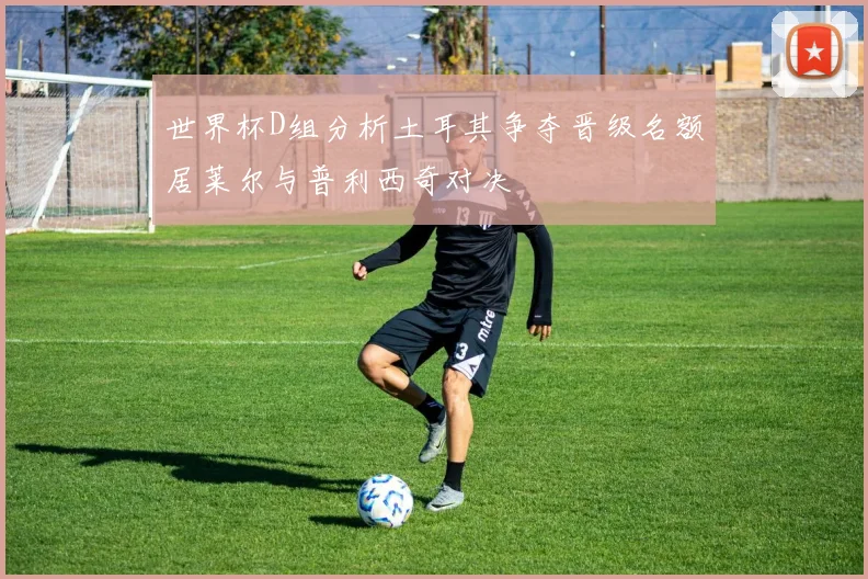 世界杯D组分析土耳其争夺晋级名额居莱尔与普利西奇对决