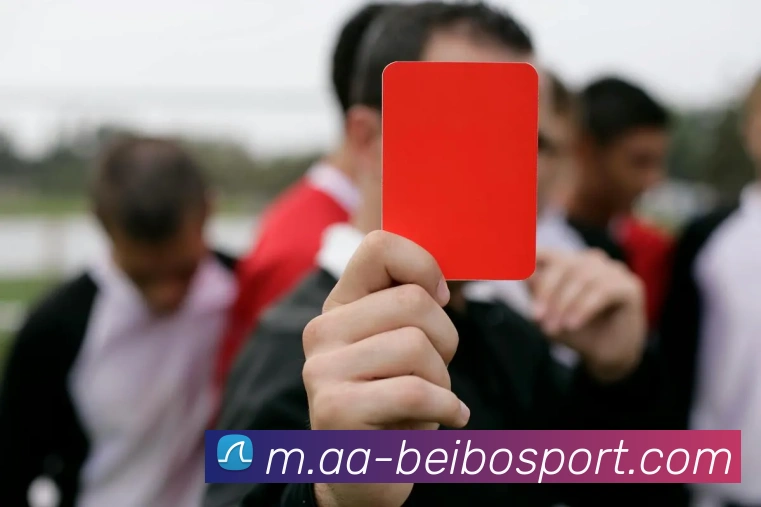 贝博足球发展历程