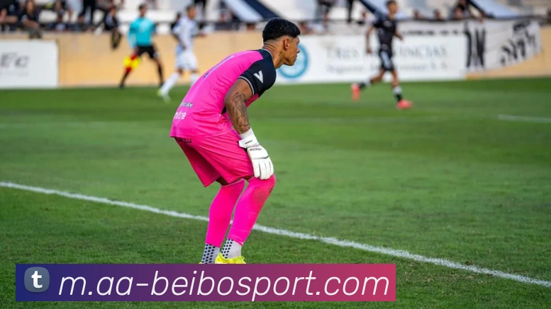 英超球队转会支出近半流向21至24岁年轻球员分析