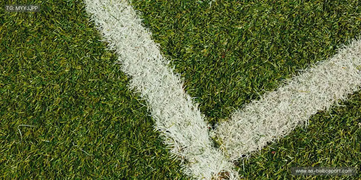 实时直击,弹幕狂欢!💻🎉 体育直播,就要和千万人一起尖叫!